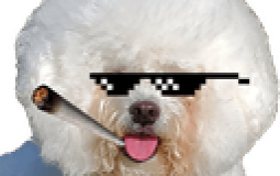 Florida Dispensary Rankings - Jan 2023