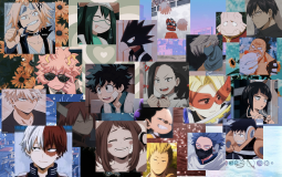 MHA Ships