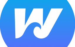 Fortnite Teams and Orgs