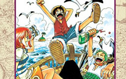 One Piece Arcs