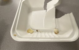 School food tierlist