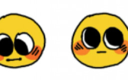 Rank my Silly Guys!!💞🙌