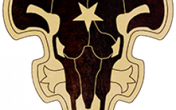 Black Clover: Black Bulls