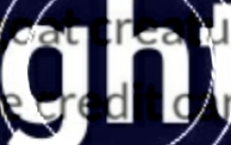 Coileight album tier list