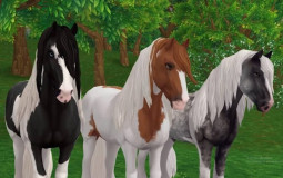 Star Stable