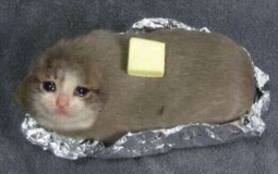 who could whoop my ass