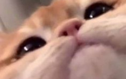 Member-member  mental hospital