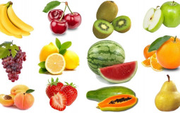 Fruits