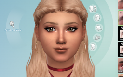 Sims Faces