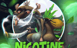 Best Nicotine Members 2020