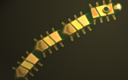 Upper deck crew in house of many doors