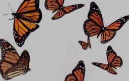 frank ocean songs to cry to