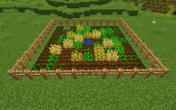 squid squid squid game