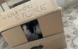 watermjau Fight Club