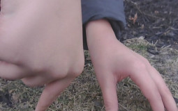 Overwatch 2 Characters