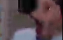 friendgroup pet tierlist