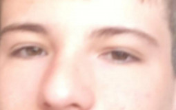 Le classement des males viril du plus au moins PD