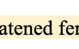 Best Usernames Meridian