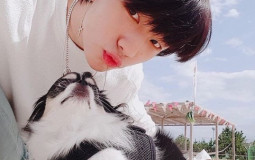 Stray Kids Members!
