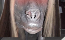 exlerim