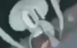 Danganronpa: Future Shining (Longterm #3)