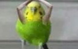 123