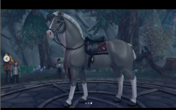 Chevaux SSO
