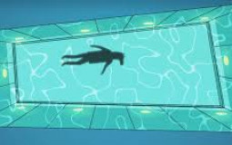 Scitech 9th graders teir list