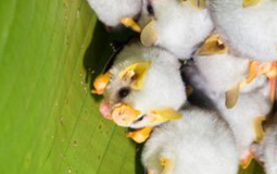 Why does it auto publish tier lists wth