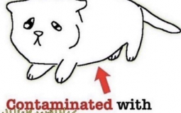 creative writing club