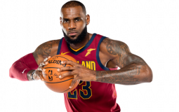 boobs and butts women