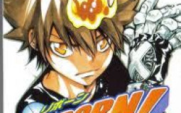 Katekyo Hitman Reborn KHR