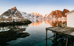 Who is the strongest