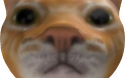 robeats mapping hangout