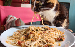 2020 (First Half) Albums