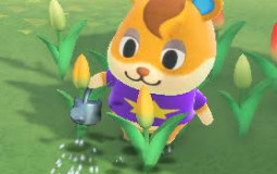Animal crossing