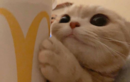 Better Server Tier List