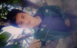 bobo