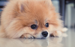 STRONGEST ANIME CARACTERS