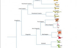 Dragon Tier List