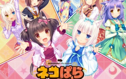 Nekopara waifus