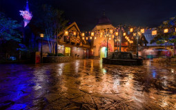 Disney Park Bathrooms