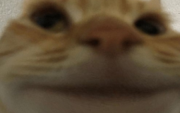 Roblox executor rank list