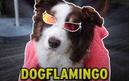 profs de notre classe