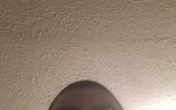 Monkey jit