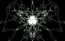 Predator Ranker