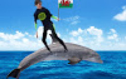 The YouTube Community