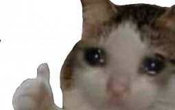 Content Creator