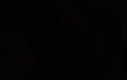 Plants vs zombies tier list