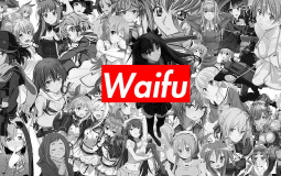 Waifu tmtc